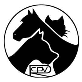 Hospital Veterinario San Vicente